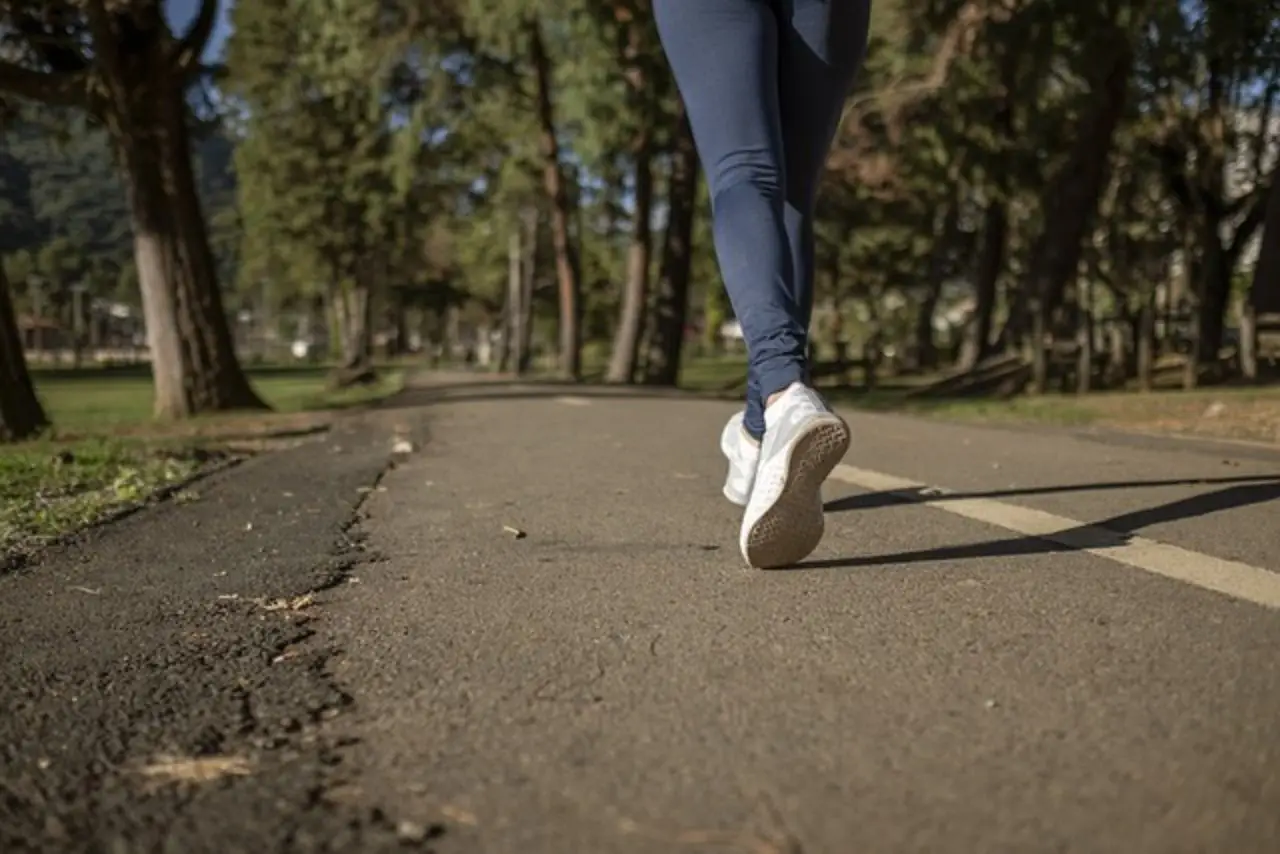 Camminare dopo i pasti: ecco quanti minuti servono per aiutare la digestione Camminare dopo i pasti: ecco quanti minuti servono per aiutare la digestione