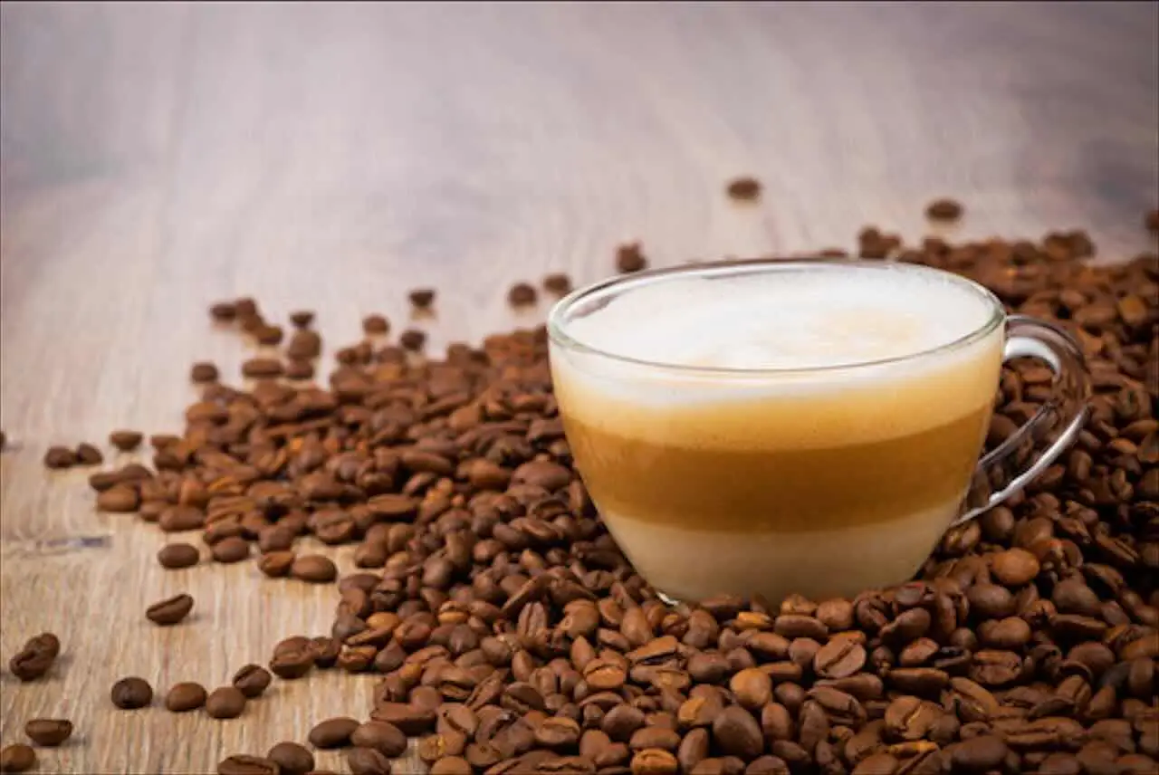Come usare il caffè esausto per far crescere le piante più velocemente Come usare il caffè esausto per far crescere le piante più velocemente