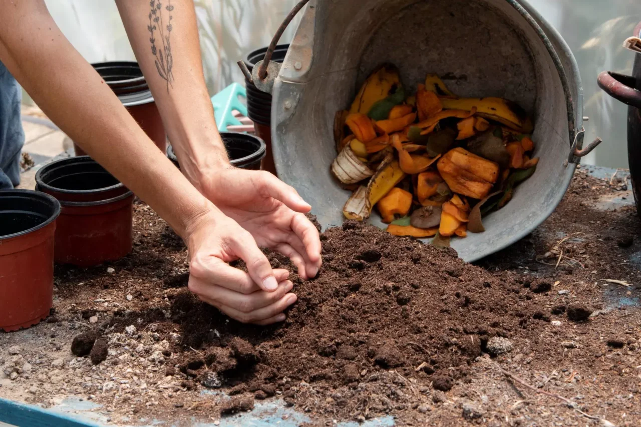 Come costruire un mini-compost con bottiglia di plastica per balcone Come costruire un mini-compost con bottiglia di plastica per balcone
