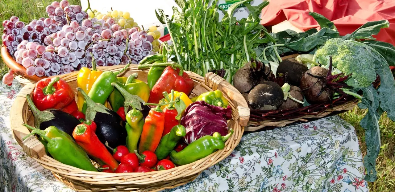Non aspettare l’estate: queste verdure crescono e si raccolgono subito in casa Non aspettare l’estate: queste verdure crescono e si raccolgono subito in casa