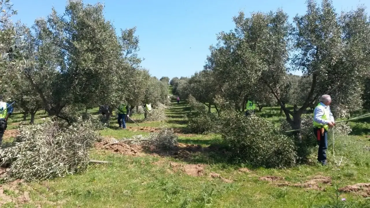 Scopri le soluzioni rapide per un raccolto sano e abbondante anche in poco spazio Scopri le soluzioni rapide per un raccolto sano e abbondante anche in poco spazio