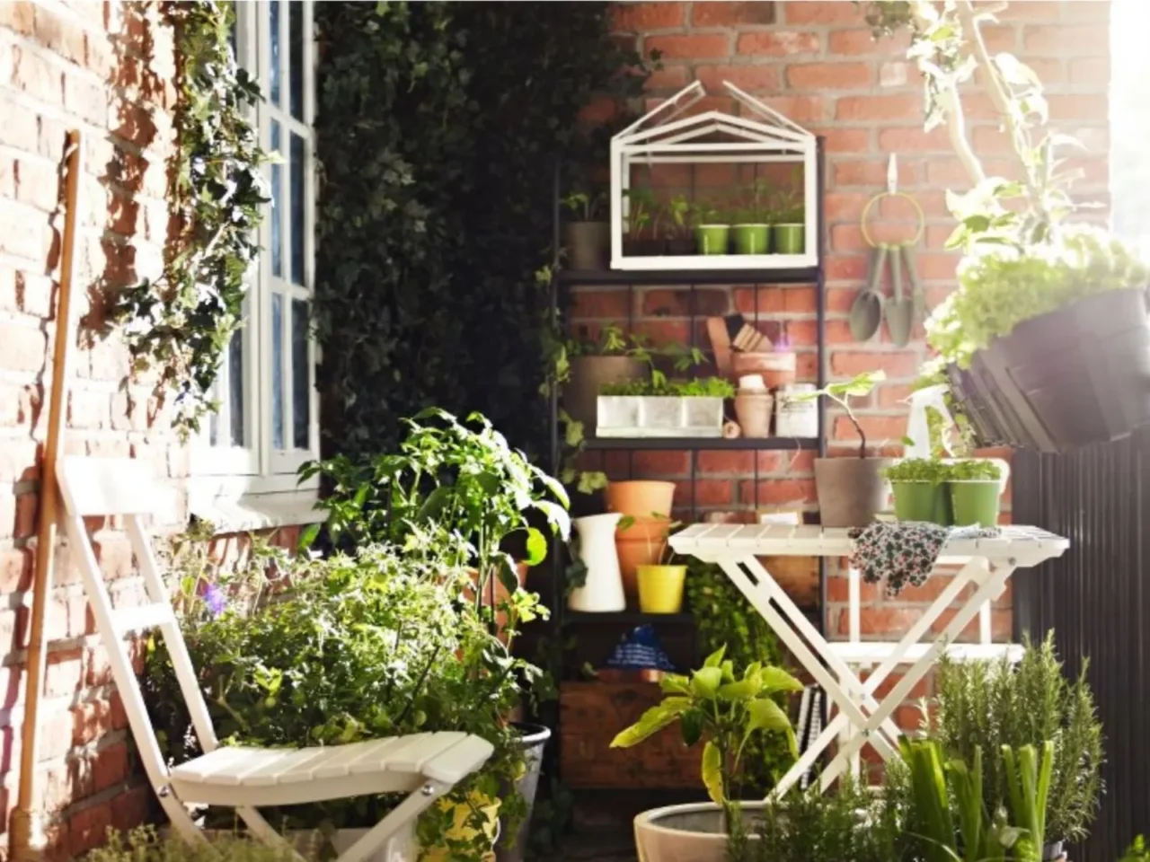Il calendario perfetto per chi vuole risultati rapidi dall’orto sul terrazzo Il calendario perfetto per chi vuole risultati rapidi dall’orto sul terrazzo