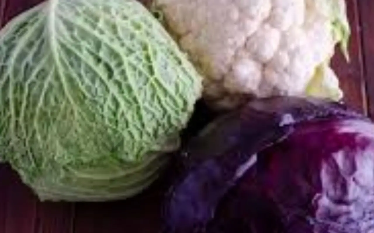 Stupisci tutti con ortaggi che crescono in pochi giorni e sono subito raccolti Stupisci tutti con ortaggi che crescono in pochi giorni e sono subito raccolti