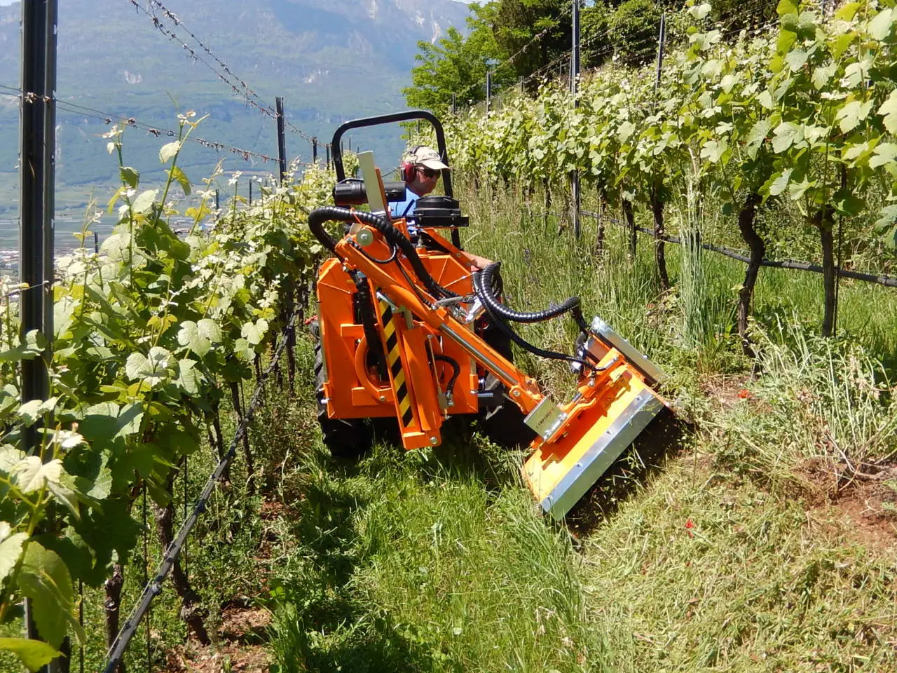 Attrezzi agricoli moderni: quali sono e come stanno trasformando il lavoro nei campi? Attrezzi agricoli moderni: quali sono e come stanno trasformando il lavoro nei campi?