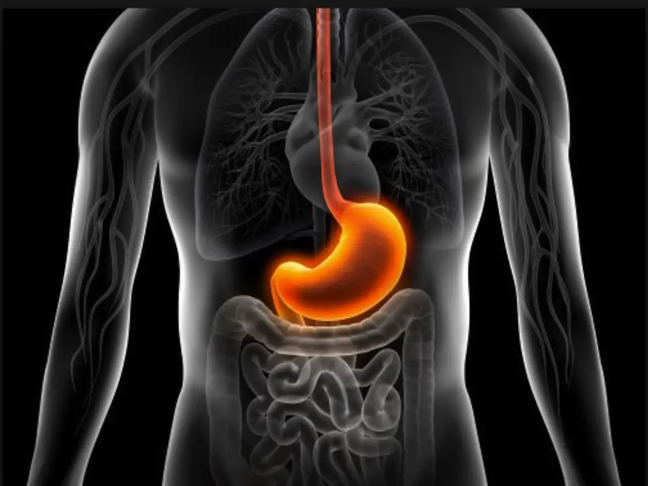 Scoprire quali esami aiutano a monitorare salute di stomaco e intestino: guida alle principali tecniche diagnostiche
