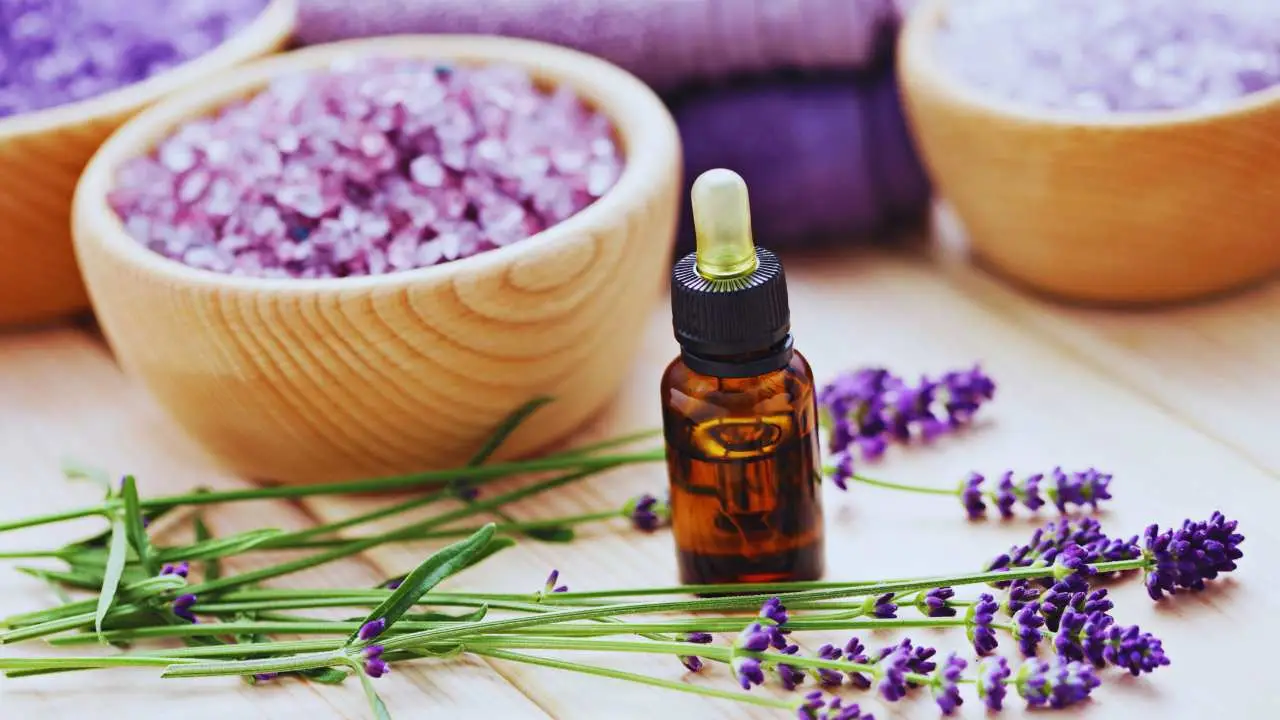 Oli essenziali per la casa: i migliori modi per diluirli e profumare gli ambienti in modo naturale