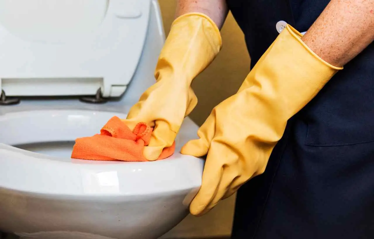 Alternative naturali ai prodotti chimici per la pulizia del WC: scopri soluzioni efficaci e sicure per la tua casa