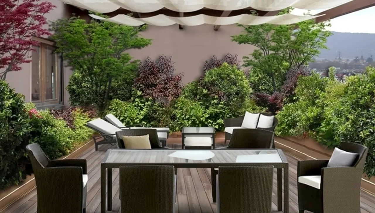 Sole e piante: strategie semplici ed efficaci per proteggere il verde di casa durante l’estate Sole e piante: strategie semplici ed efficaci per proteggere il verde di casa durante l’estate