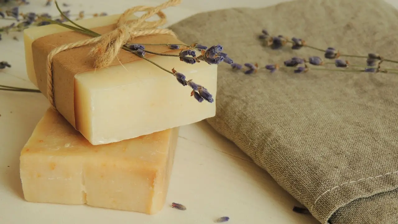 Acqua e sapone di Marsiglia per le piante: rimedio naturale contro parassiti e malattie Acqua e sapone di Marsiglia per le piante: rimedio naturale contro parassiti e malattie