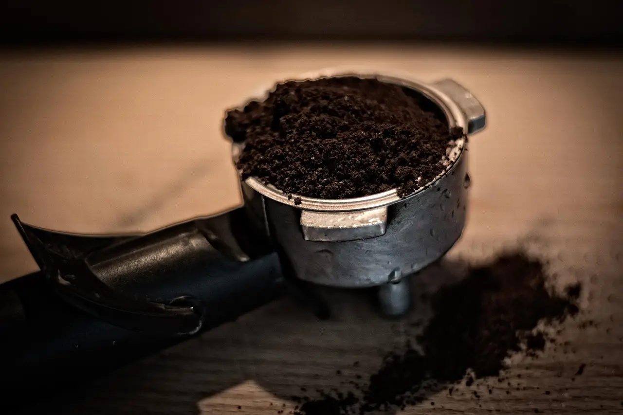 Come usare il caffè esausto per far crescere le piante più velocemente Come usare il caffè esausto per far crescere le piante più velocemente