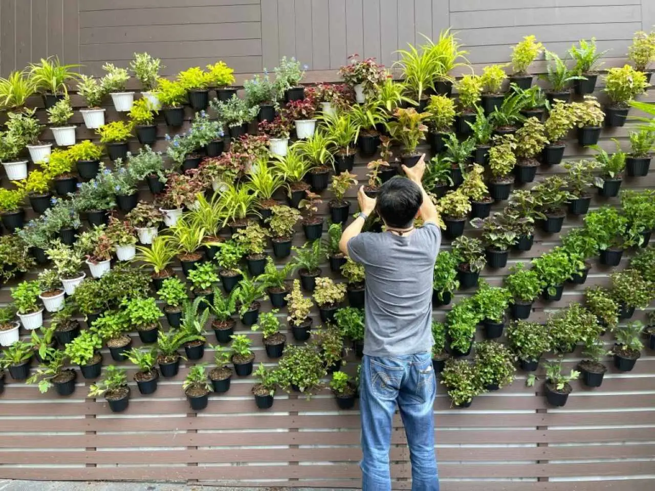 Orto verticale fai-da-te: il metodo più semplice da montare in balcone Orto verticale fai-da-te: il metodo più semplice da montare in balcone