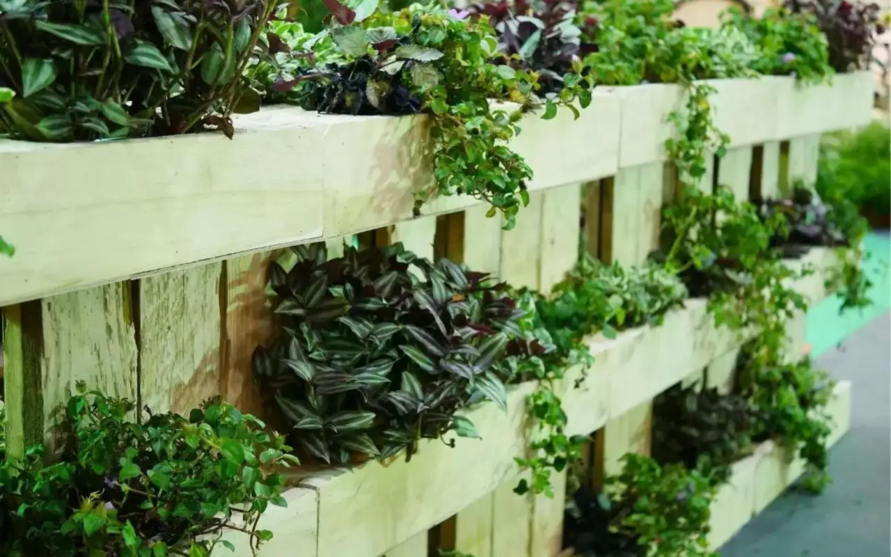 Orto verticale fai-da-te: il metodo più semplice da montare in balcone Orto verticale fai-da-te: il metodo più semplice da montare in balcone