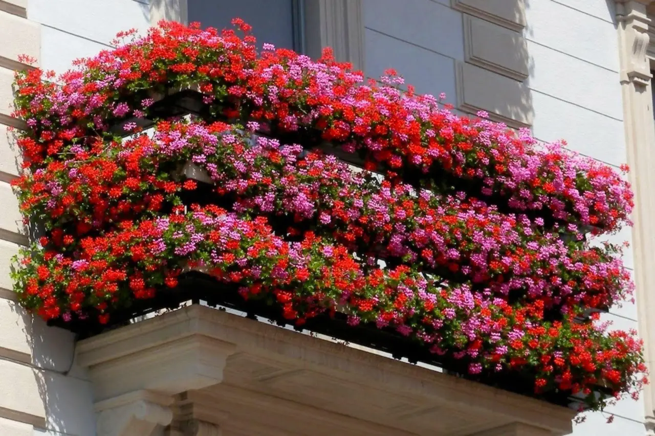 Orto verticale fai-da-te: il metodo più semplice da montare in balcone Orto verticale fai-da-te: il metodo più semplice da montare in balcone