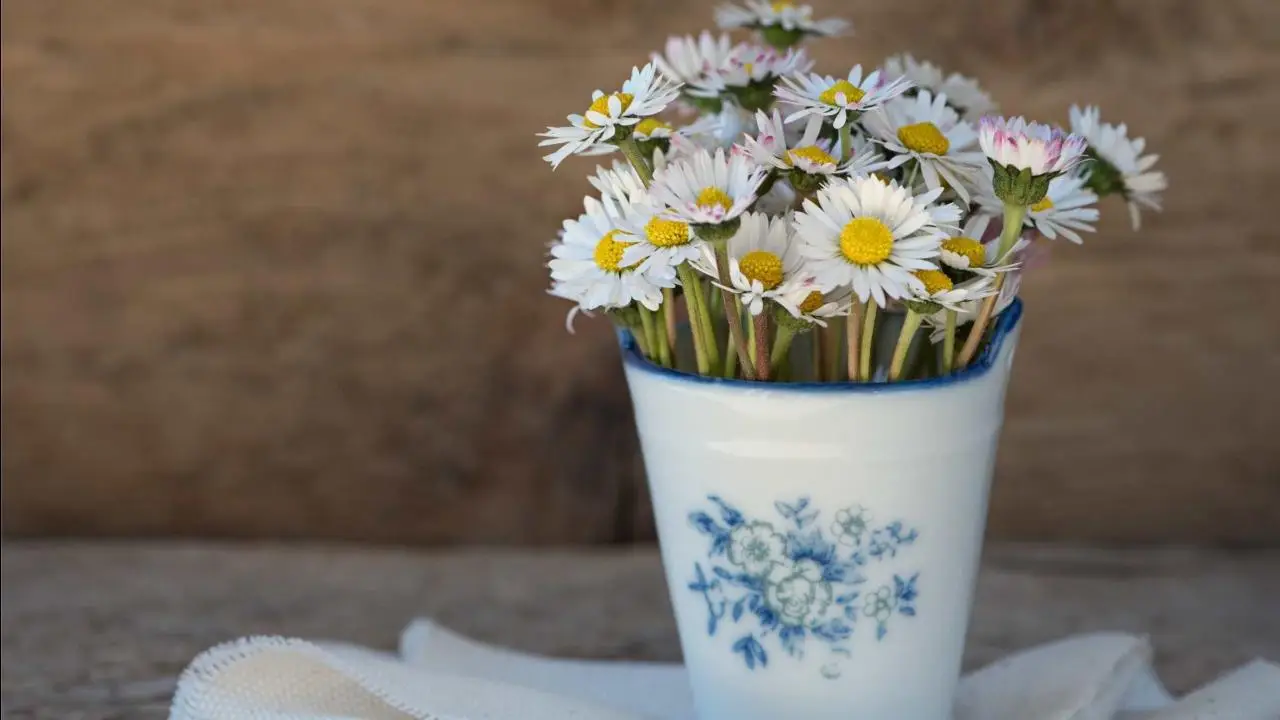 Come far durare più a lungo i fiori recisi con un ingrediente del frigo Come far durare più a lungo i fiori recisi con un ingrediente del frigo