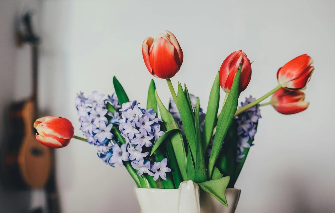 Come far durare più a lungo i fiori recisi con un ingrediente del frigo Come far durare più a lungo i fiori recisi con un ingrediente del frigo