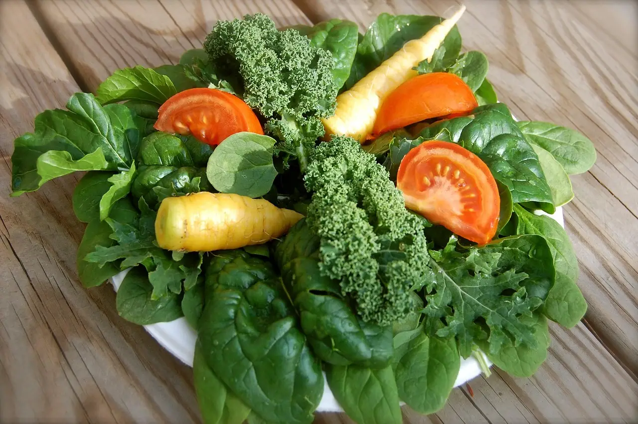 Insalata a crescita rapida: semina e raccolta in meno di 30 giorni Insalata a crescita rapida: semina e raccolta in meno di 30 giorni