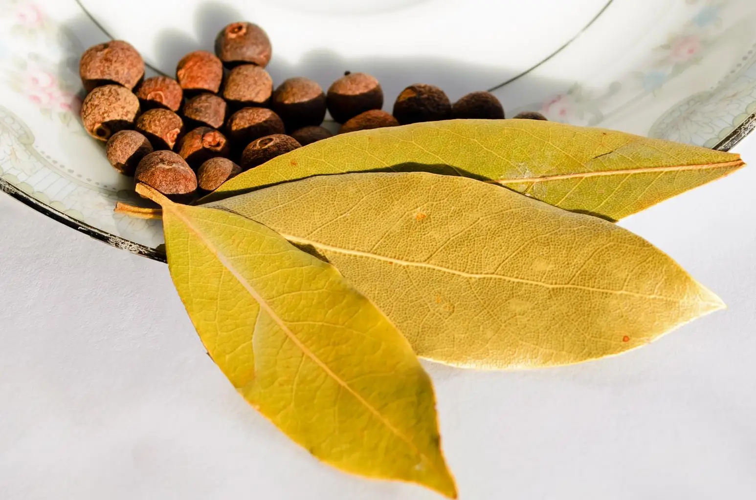 Come togliere l’odore di chiuso dai cassetti: il trucco con alloro e bicarbonato che non conosci Come togliere l’odore di chiuso dai cassetti: il trucco con alloro e bicarbonato che non conosci