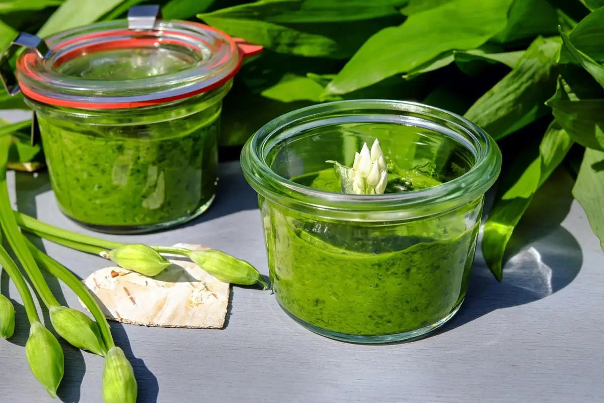 Ortica in giardino: come preparare il macerato che protegge le piante Ortica in giardino: come preparare il macerato che protegge le piante