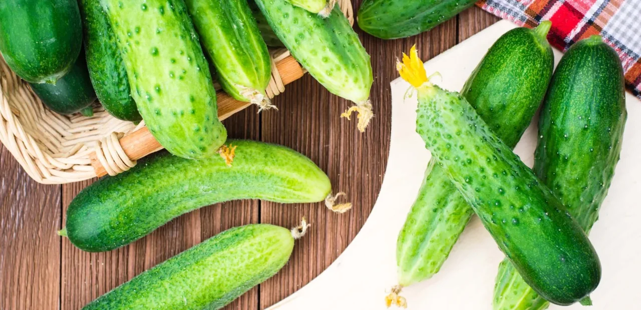 Cetrioli molli o amari? Ecco l’errore che rovina il raccolto Cetrioli molli o amari? Ecco l’errore che rovina il raccolto