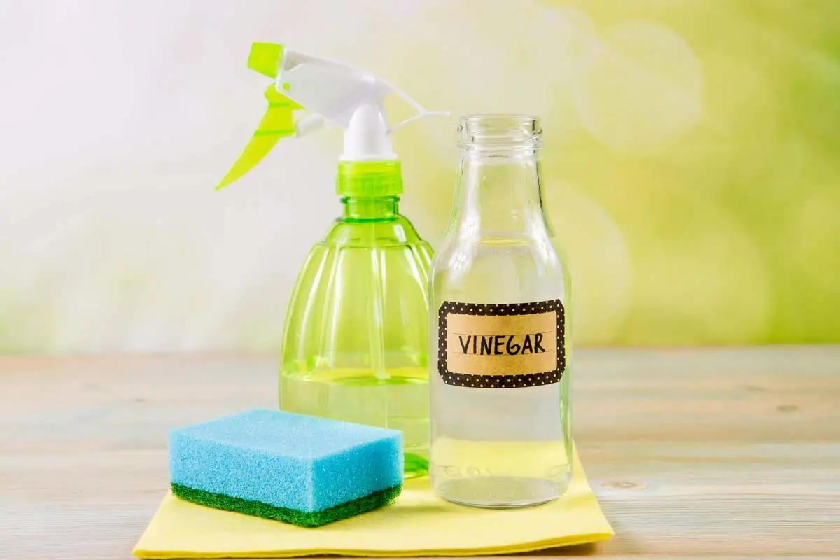 Hai mai provato il mix acqua e aceto per ravvivare rapidamente i mobili spenti? Hai mai provato il mix acqua e aceto per ravvivare rapidamente i mobili spenti?