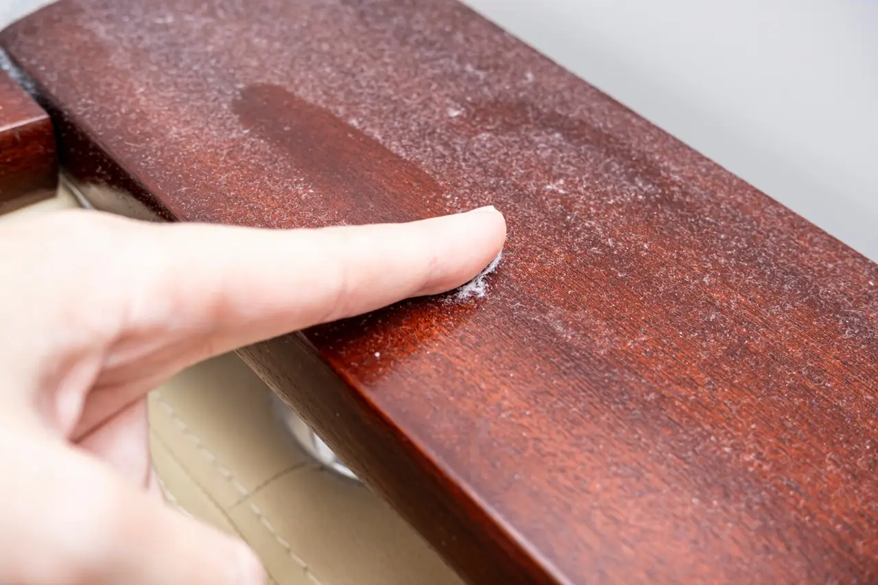 3 ingredienti comuni per proteggere i tuoi mobili da graffi e usura: agisci oggi 3 ingredienti comuni per proteggere i tuoi mobili da graffi e usura: agisci oggi