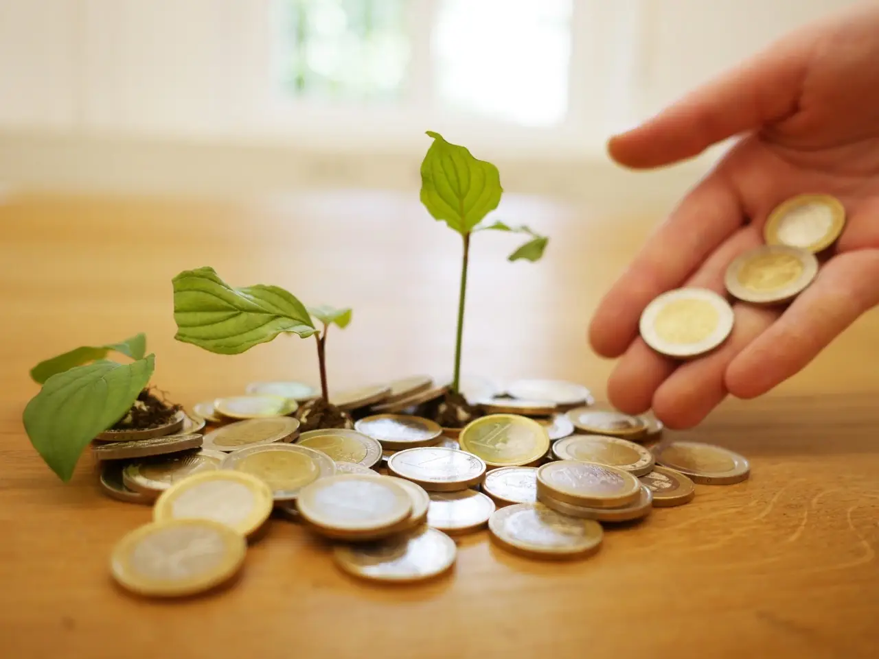 Non sprecare soldi in prodotti inutili, questa soluzione naturale ti sorprenderà Non sprecare soldi in prodotti inutili, questa soluzione naturale ti sorprenderà