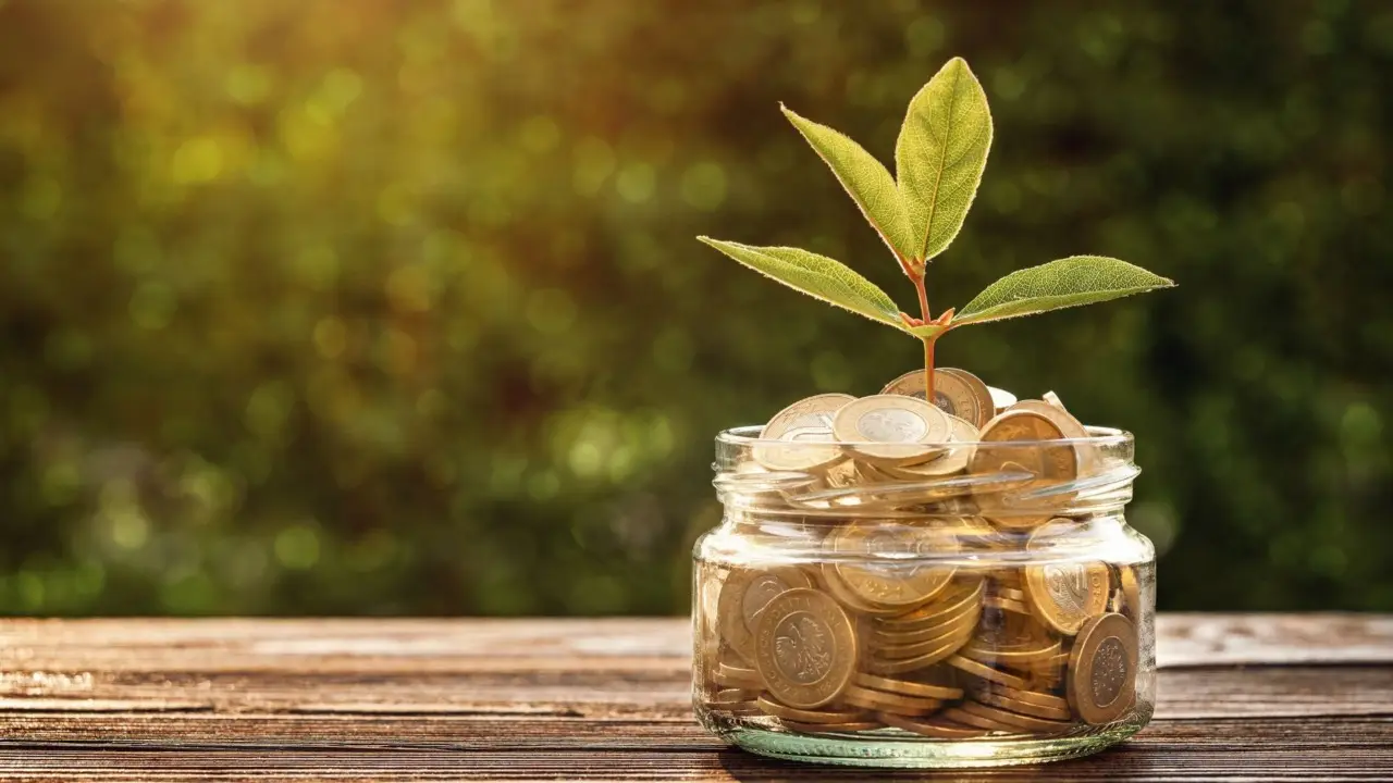 Non sprecare soldi in prodotti inutili, questa soluzione naturale ti sorprenderà Non sprecare soldi in prodotti inutili, questa soluzione naturale ti sorprenderà