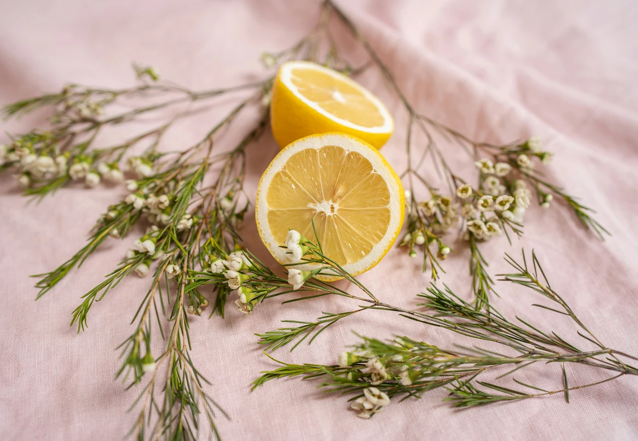 Vuoi superfici splendenti senza sostanze aggressive? Ecco la ricetta naturale ideale Vuoi superfici splendenti senza sostanze aggressive? Ecco la ricetta naturale ideale